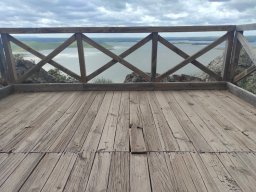 Flora del Cerro Masatrigo